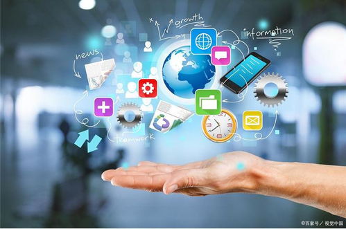 未来宠物护理新纪元 动物互联网医院系统的前沿科技探索